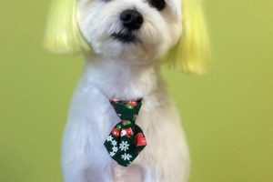 12月のお友達☆
