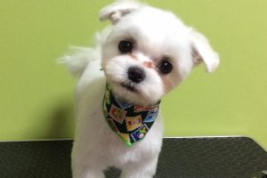 12月のお友達☆