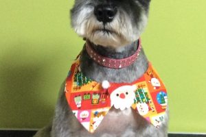 12月のお友達☆