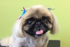 12月のお友達☆
