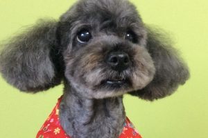 12月のお友達☆