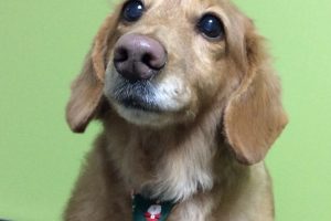 12月のお友達☆