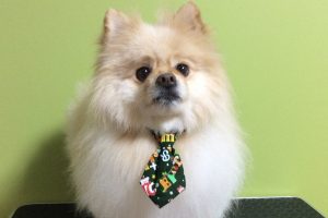12月のお友達☆