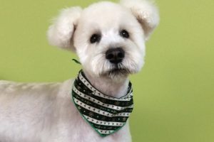 12月のお友達☆