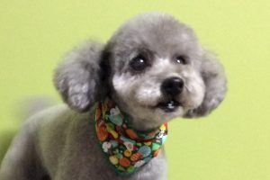 12月のお友達☆