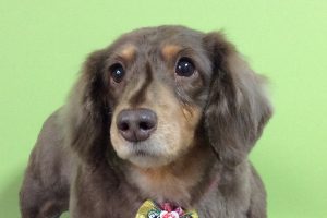 12月のお友達☆