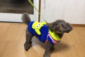 お泊り☆
