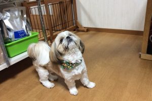 お泊り☆