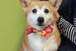 12月のお友達☆