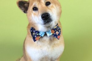 12月のお友達☆