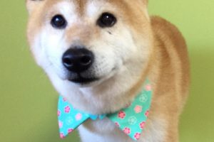 12月のお友達☆