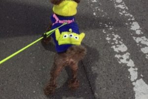 お泊り中☆