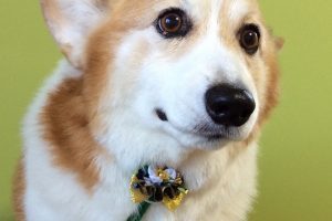12月のお友達☆