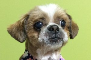 12月のお友達☆