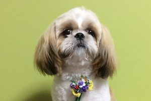 12月のお友達☆