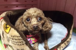 お泊り☆