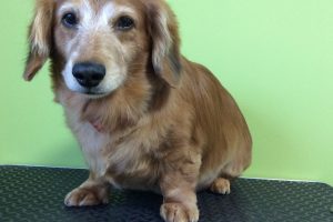 １２月のお友達♪