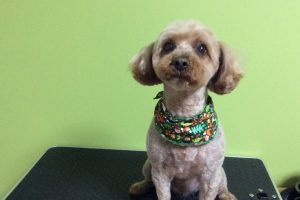 １２月のお友達♪