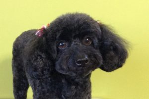 1月のお友達☆