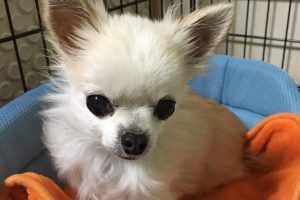 お泊まり♪