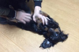 お泊り中☆
