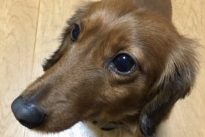 お泊り中☆
