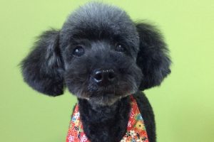 1月のお友達☆