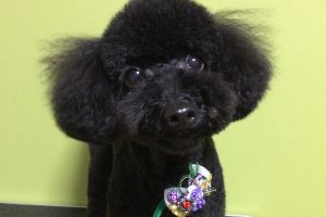 1月のお友達☆
