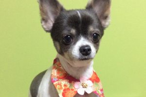 1月のお友達☆