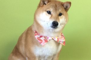 1月のお友達☆