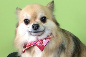 1月のお友達☆