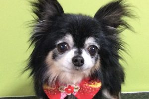 1月のお友達☆