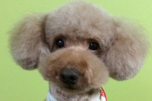 1月のお友達☆