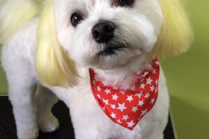 1月のお友達☆