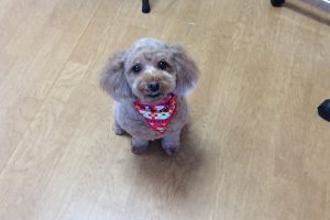 1月のお友達☆