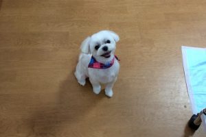 1月のお友達☆