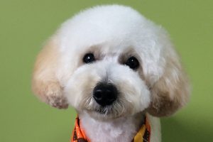 1月のお友達☆