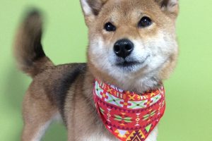 1月のお友達☆