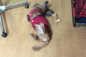 お泊り中☆