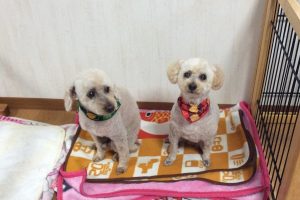 1月のお友達☆