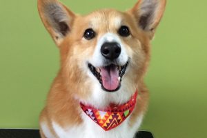 1月のお友達☆