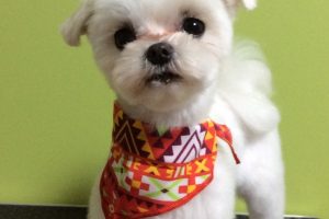 1月のお友達☆