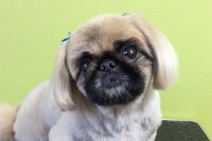 1月のお友達☆