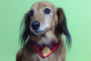 1月のお友達☆