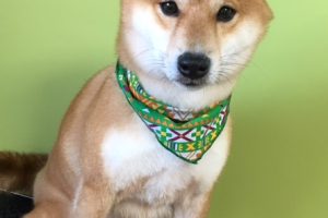 1月のお友達♪