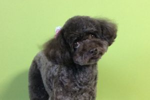 2月のお友達☆
