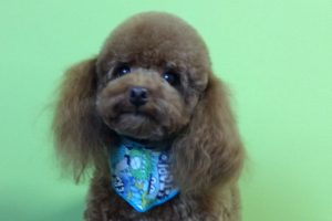 2月のお友達☆