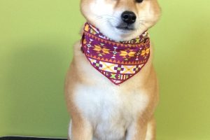 2月のお友達☆