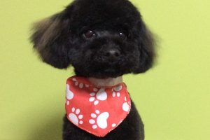 2月のお友達☆