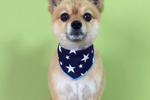 2月のお友達☆